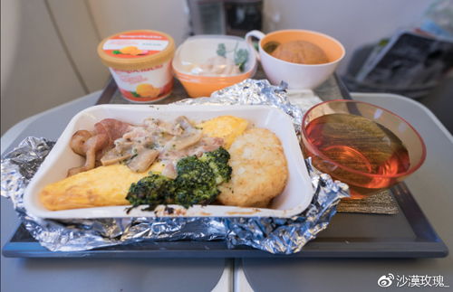 飛機(jī)餐到底哪家強(qiáng) 盤點(diǎn) 最好吃 的航空公司