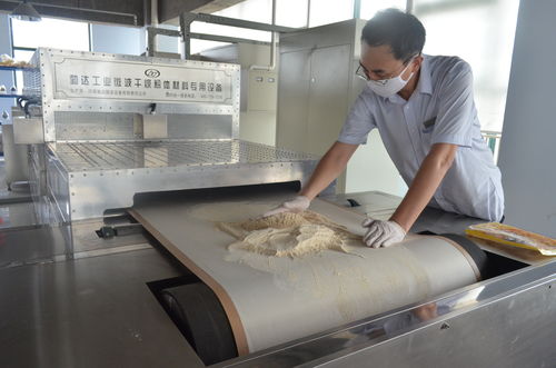 微波干燥機(jī)設(shè)備在食品加工業(yè)的應(yīng)用特點(diǎn)