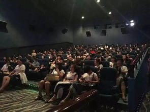 人在險途——鄭州財富區(qū)客戶服務(wù)節(jié)觀影活動市場營銷策劃